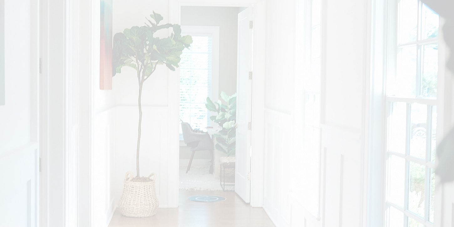 Close-up of large green tropical leaf texture.